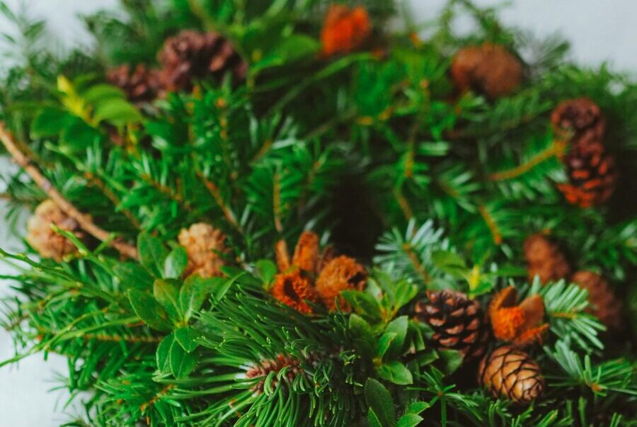 Adventskranz geschmückt mit Tannenzapfen